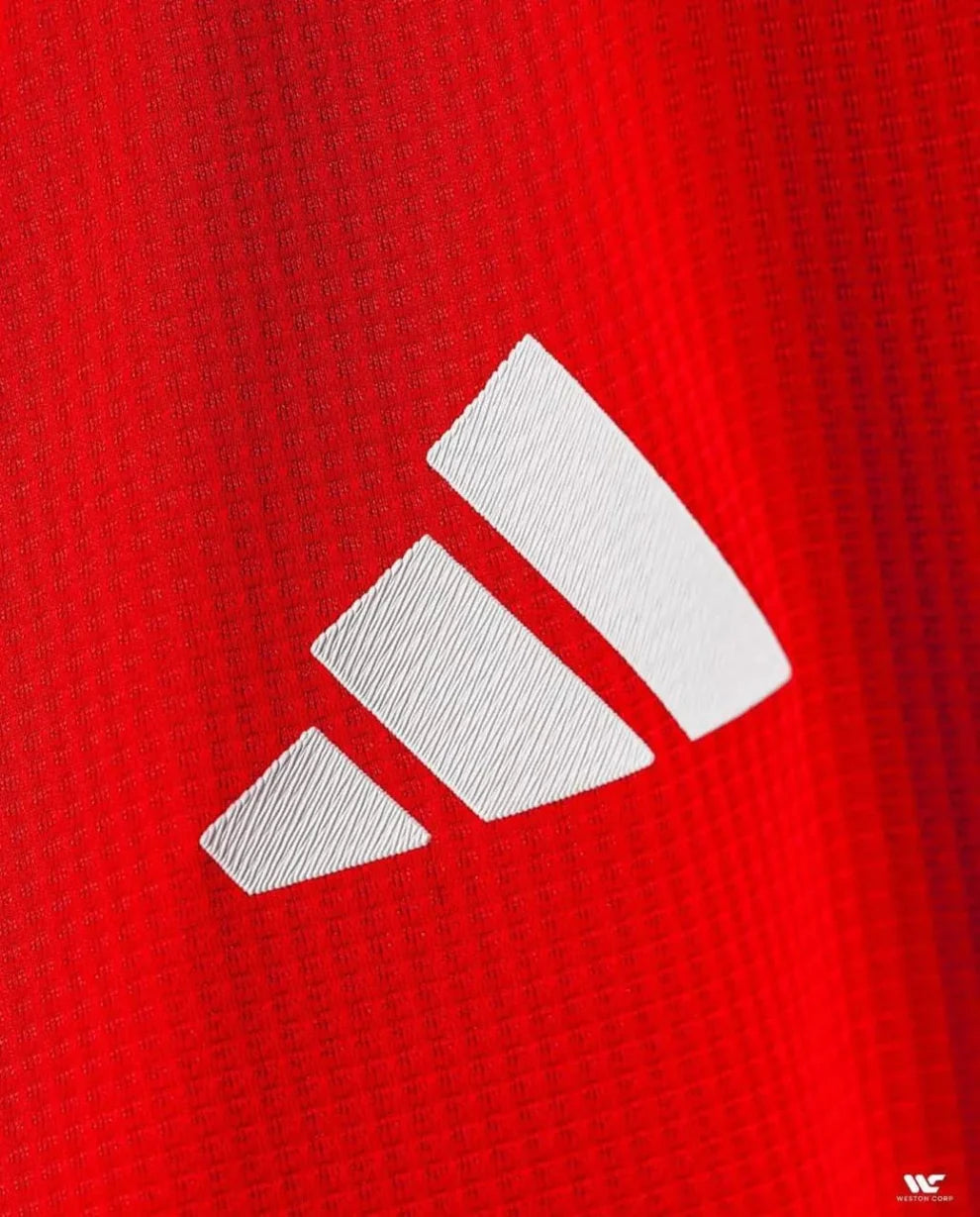 Manchester United 2024 Home Jersey (Master Version)